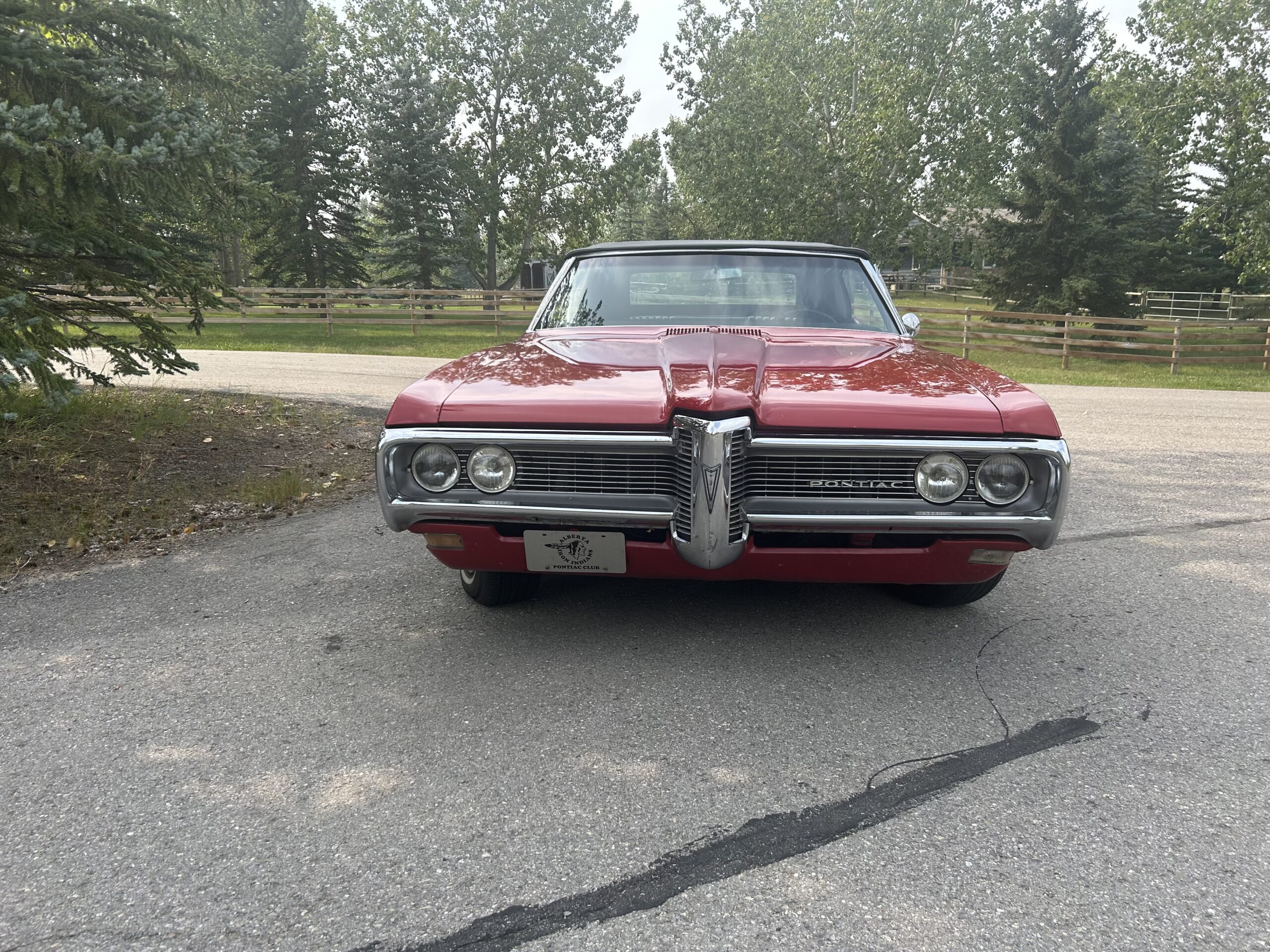 Photo 2024-08-15, 4 01 11 PM